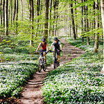Location vélo